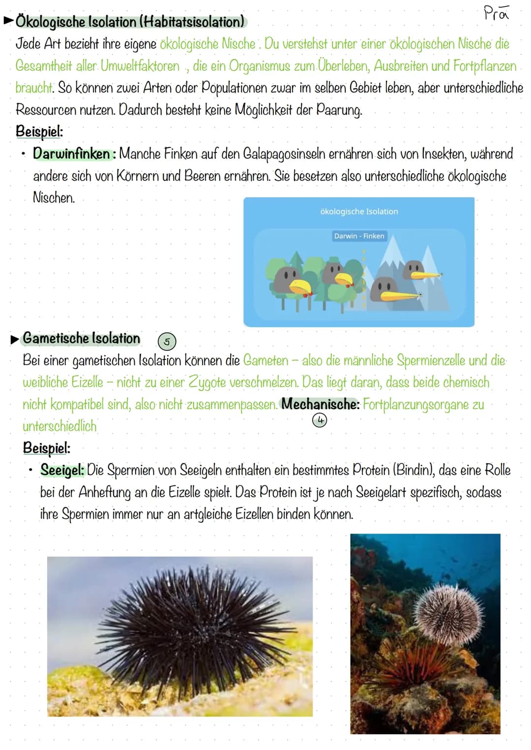 # PRÄ POSTZ YG OTISCH ISOLA TIONSMECHANISM

- Definition Isolation: Abtrennung oder Abkapselung

- Definition Isolationsmechanismen: (auch: 
