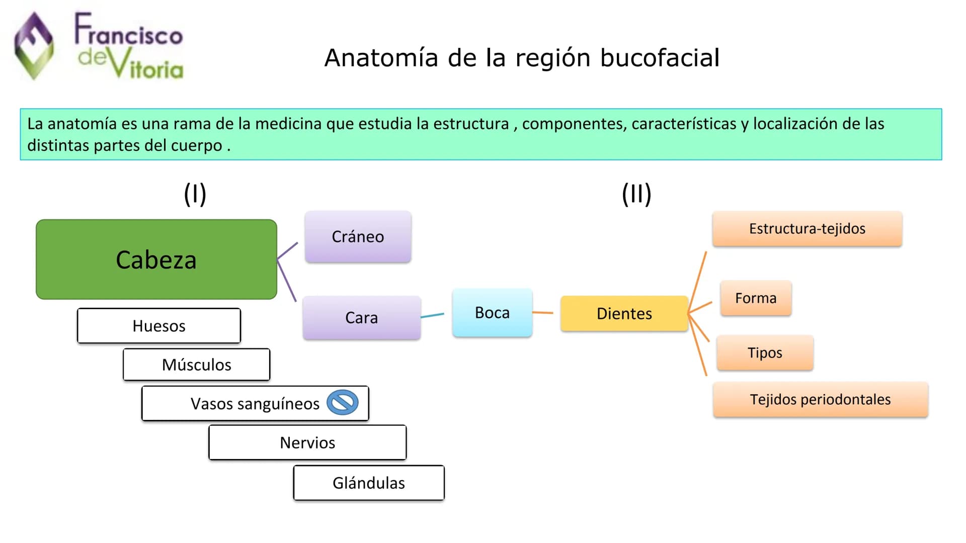 Francisco
deVitoria

Τ.Α.Ο.

+

UD.2: Anatomía y función de la
región bucofacial (I) Francisco
deVitoria

Anatomía de la región bucofacial

