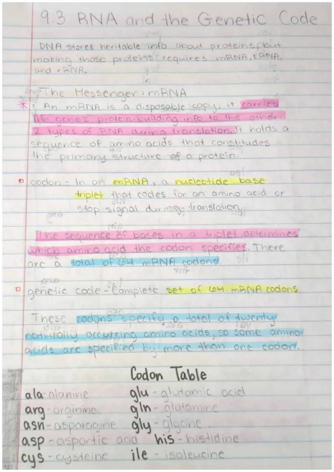 # 9.3 RNA and the Genetic Code

DNA stores heritable info about proteins, but
making those proteins requires mRNA, EANA,
and BNA.

* The Mes
