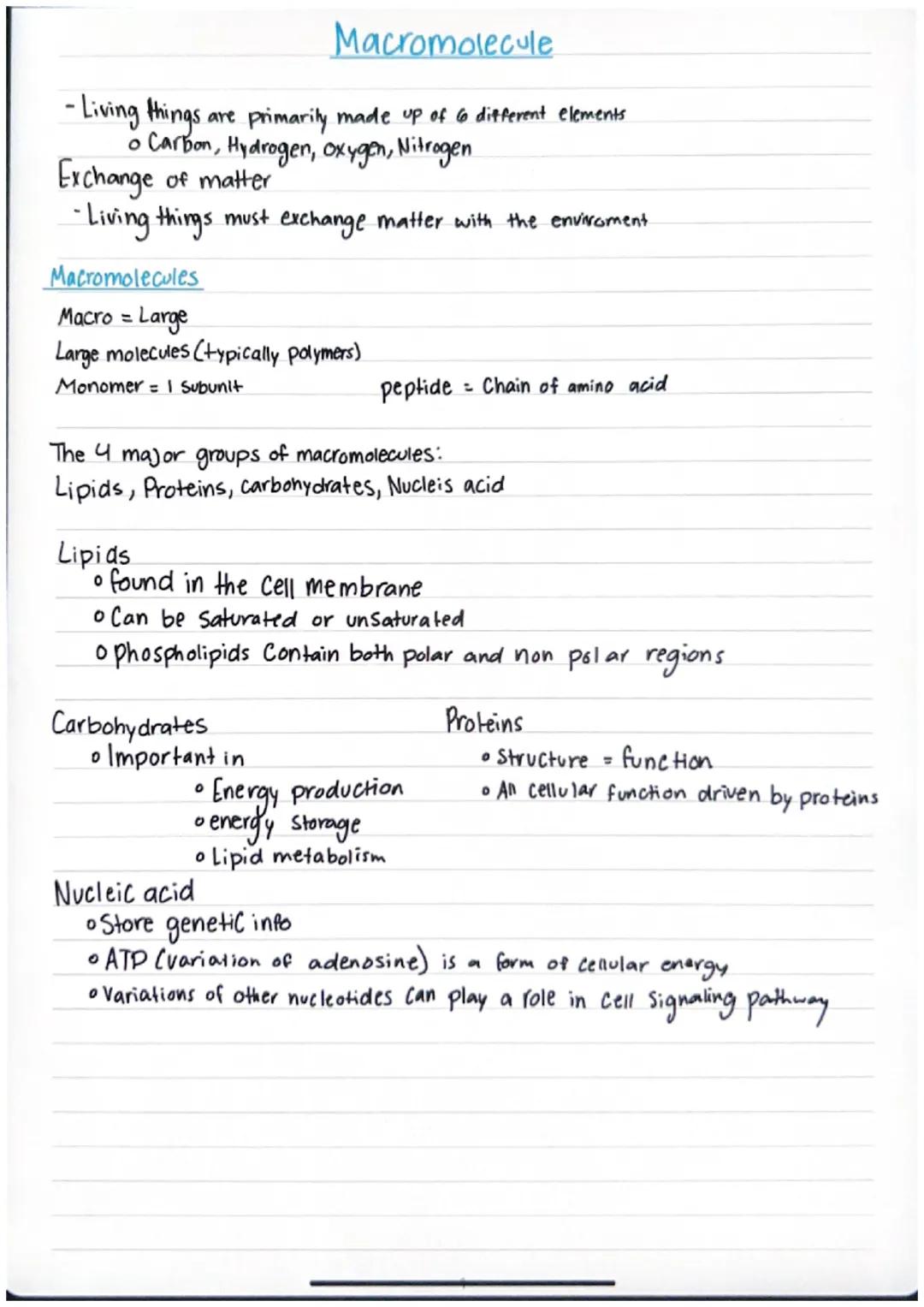 # Macromolecule

- Living things are primarily made up of 6 different elements
• Carbon, Hydrogen, oxygen, Nitrogen
Exchange of matter
- Liv