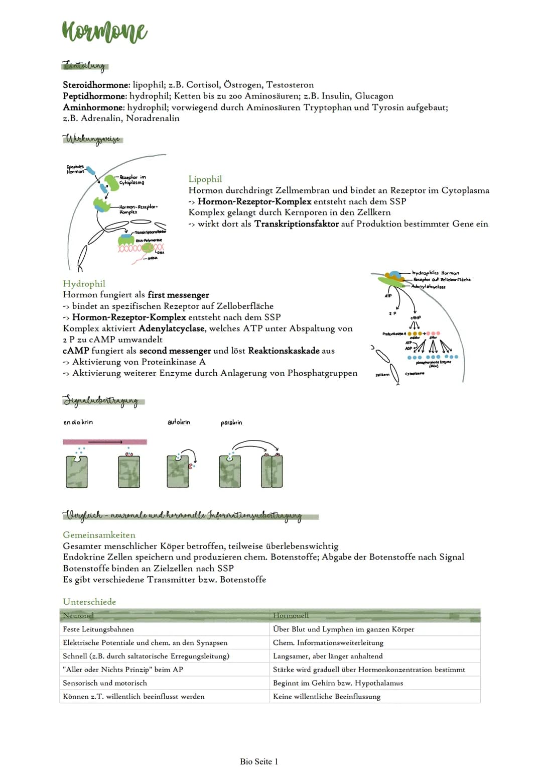 # Hormone

Eintalung

Steroidhormone: lipophil; z.B. Cortisol, Östrogen, Testosteron

Peptidhormone: hydrophil; Ketten bis zu 200 Aminosäure