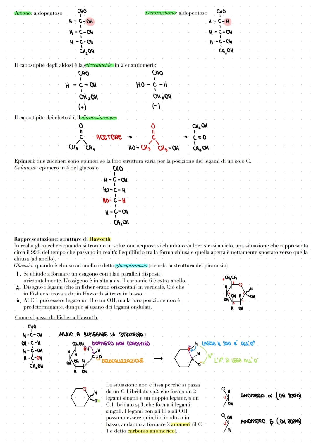 # LE BIOMOLECOLE

Le biomolecole vengono sintetizzate, utilizzate e costituiscono i viventi. Carboidrati, proteine e acidi nucleici sono dei