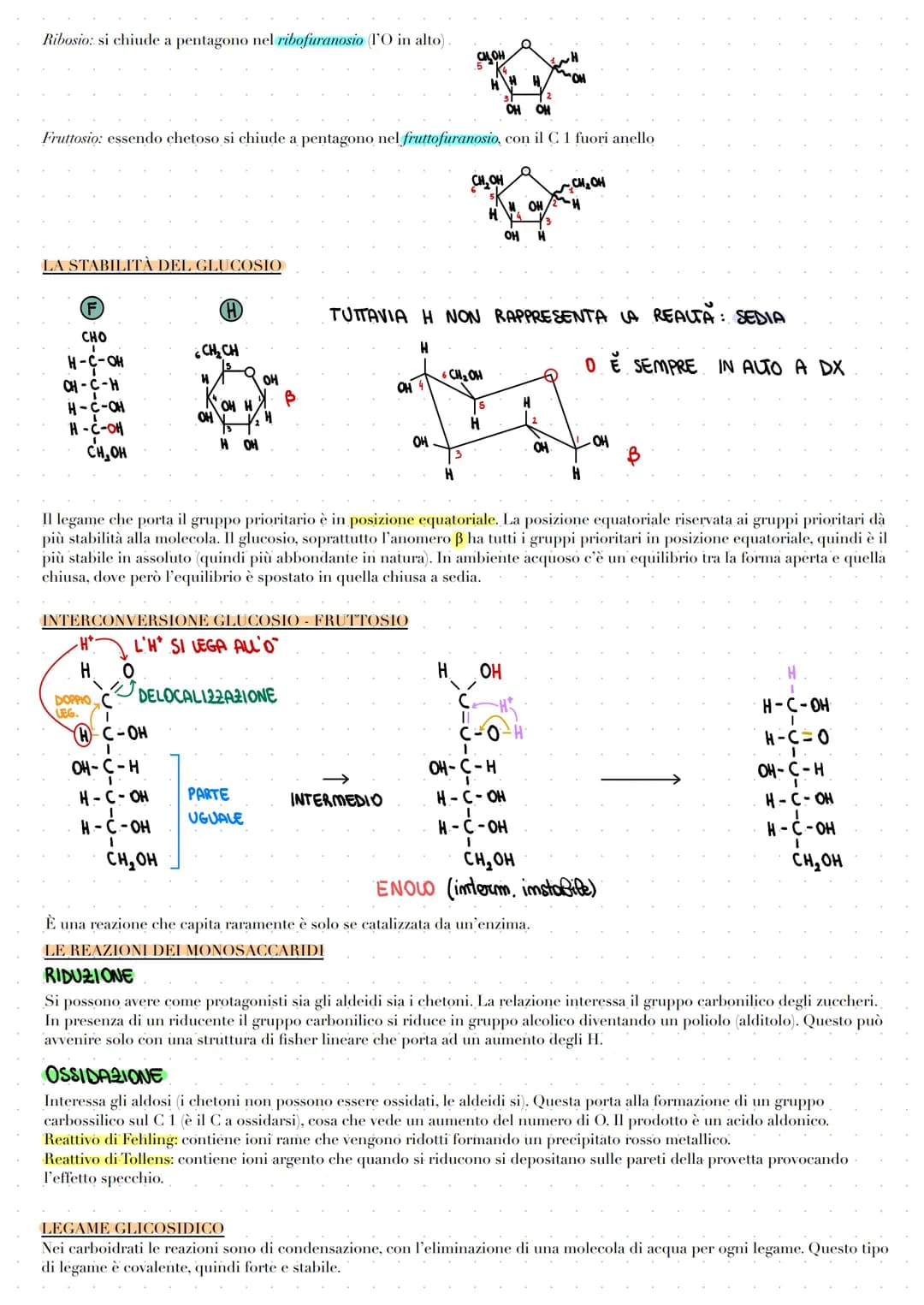 # LE BIOMOLECOLE

Le biomolecole vengono sintetizzate, utilizzate e costituiscono i viventi. Carboidrati, proteine e acidi nucleici sono dei