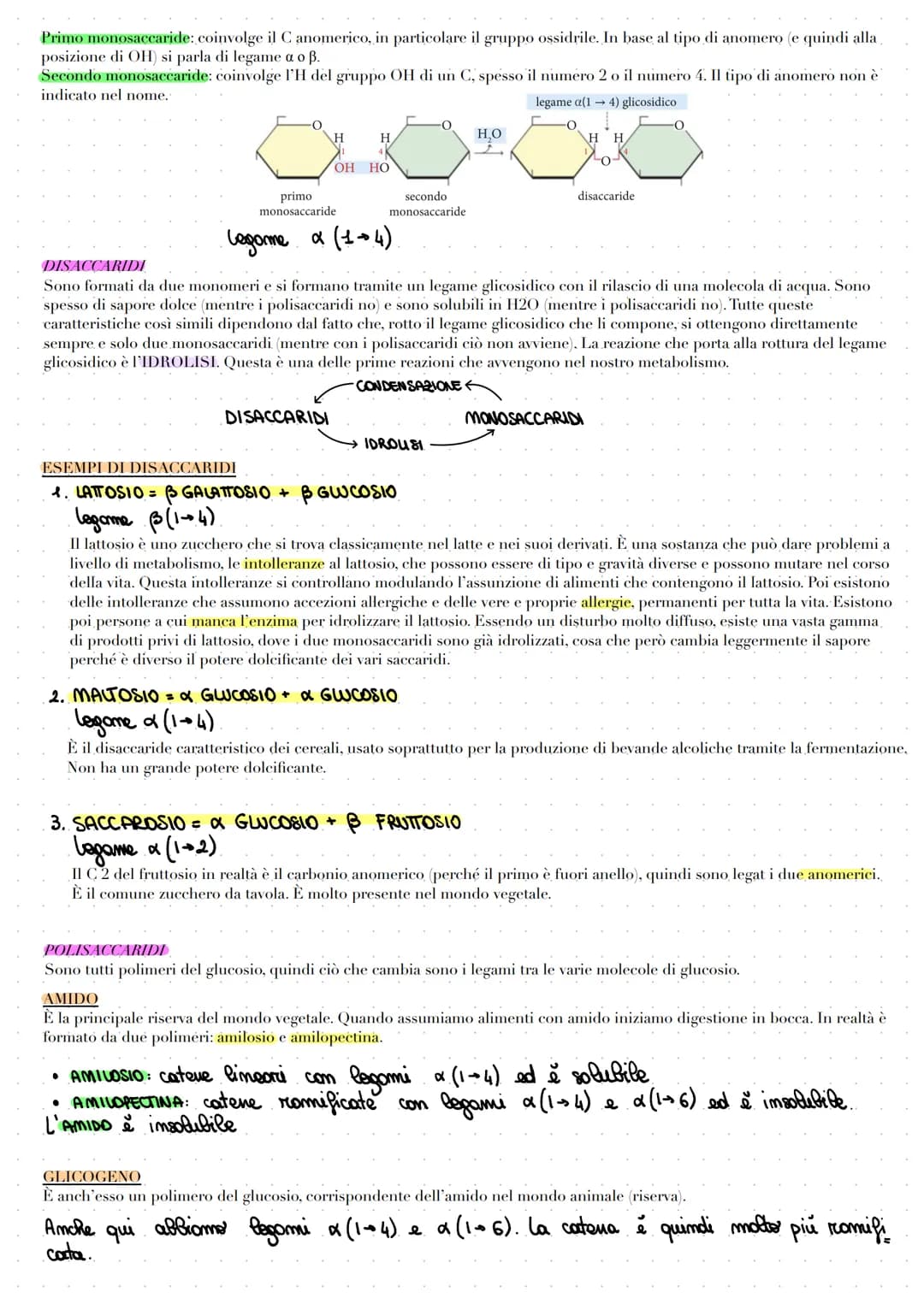 # LE BIOMOLECOLE

Le biomolecole vengono sintetizzate, utilizzate e costituiscono i viventi. Carboidrati, proteine e acidi nucleici sono dei