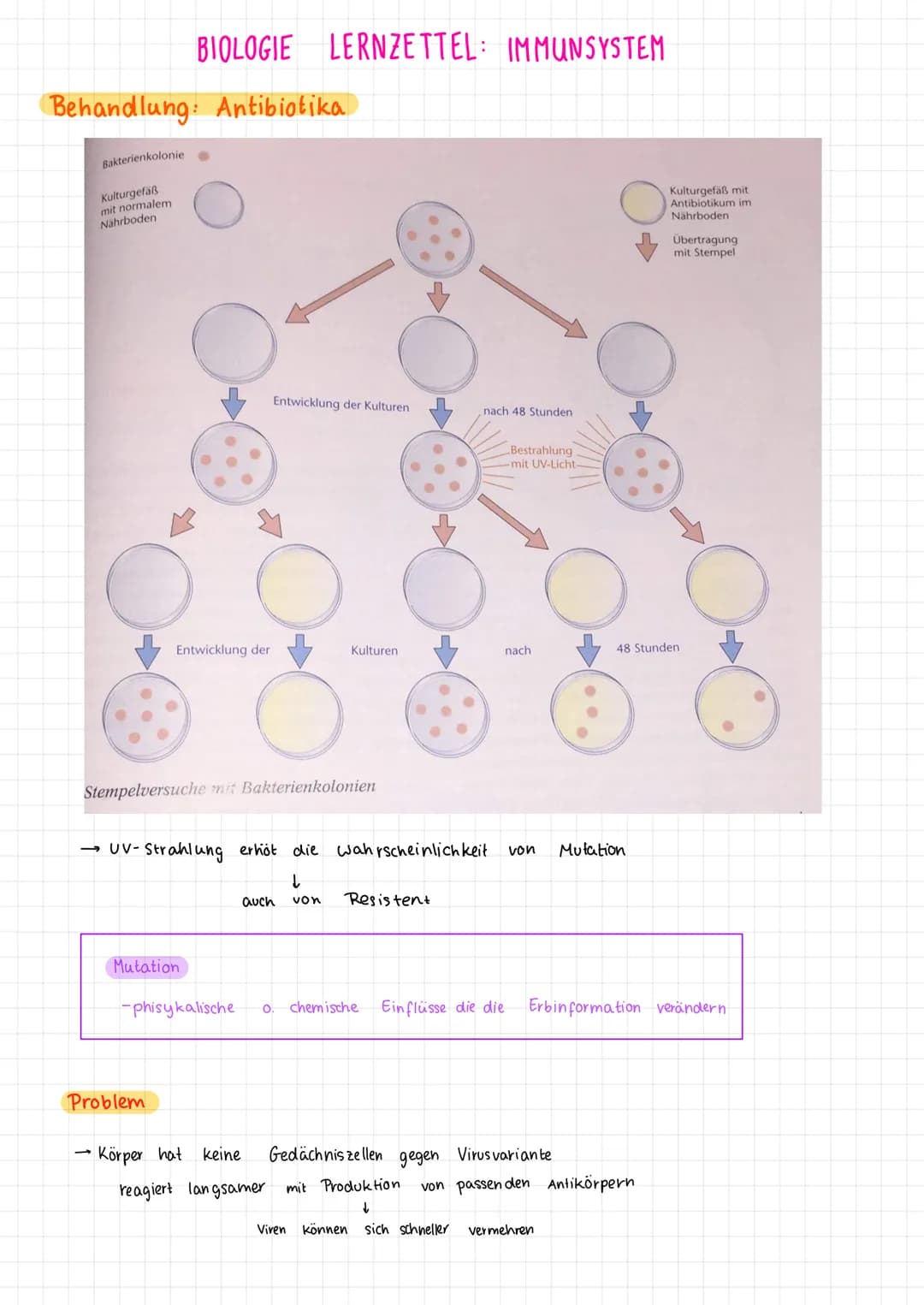 # BIOLOGIE LERNZETTEL: IMMUNSYSTEM

1. Viren vs. Bakterien

Viren

- Überträger einer Krankheit Erreger
- wesentlich kleiner als Bakterien u