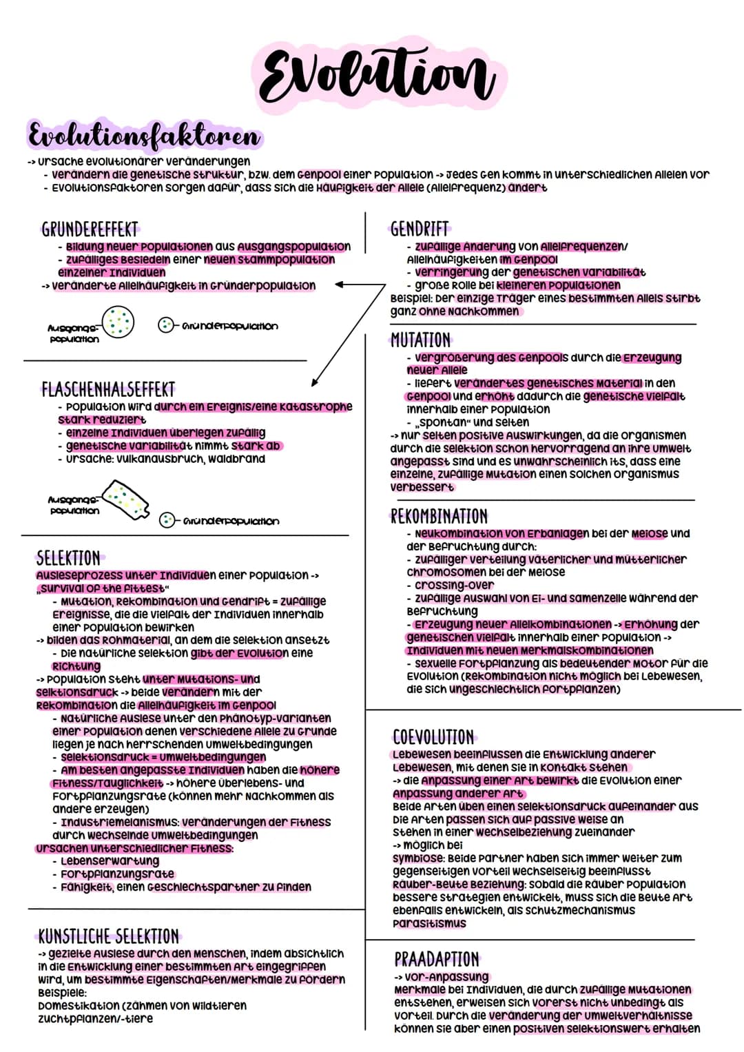 Biologie Abitur

2023 # Evolution

## Evolutionstheorien
-> Erklärung des Artwandels und Entstehung von Arten

### DARWIN
- selektionstheori