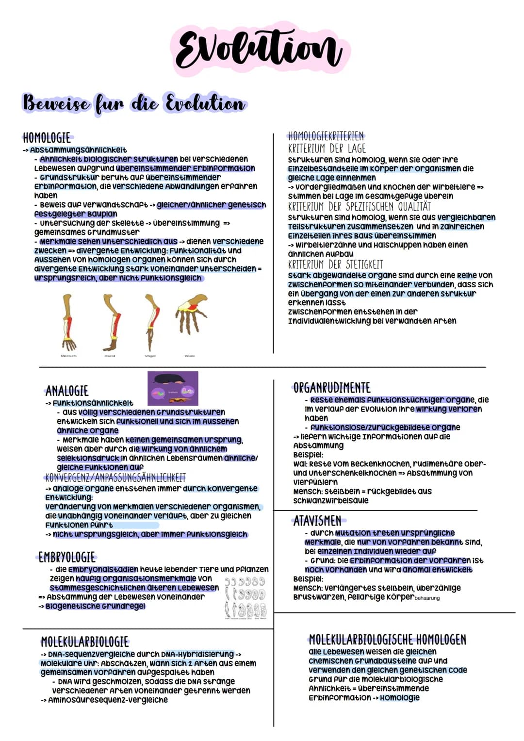 Biologie Abitur

2023 # Evolution

## Evolutionstheorien
-> Erklärung des Artwandels und Entstehung von Arten

### DARWIN
- selektionstheori