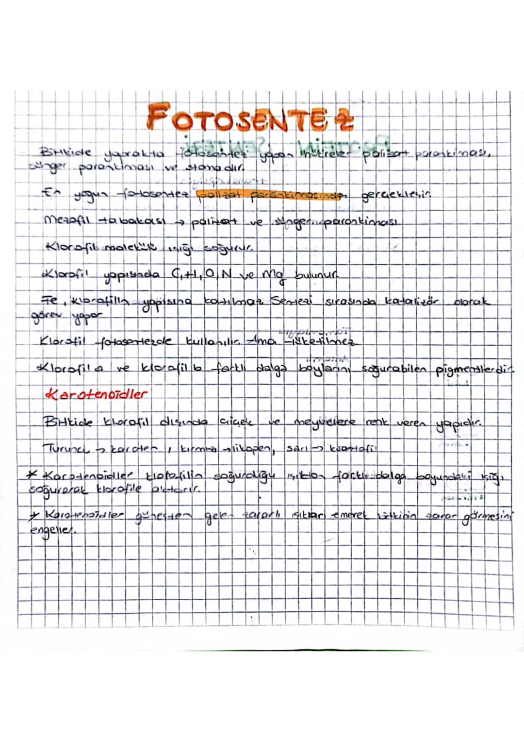 # FOTOSENTEZ

Binkide yarakia Tolosantes: yooon inertireler 'polisant pararkinası,
ger parankiması ve stana dir.

En yogun fotosentez baliza