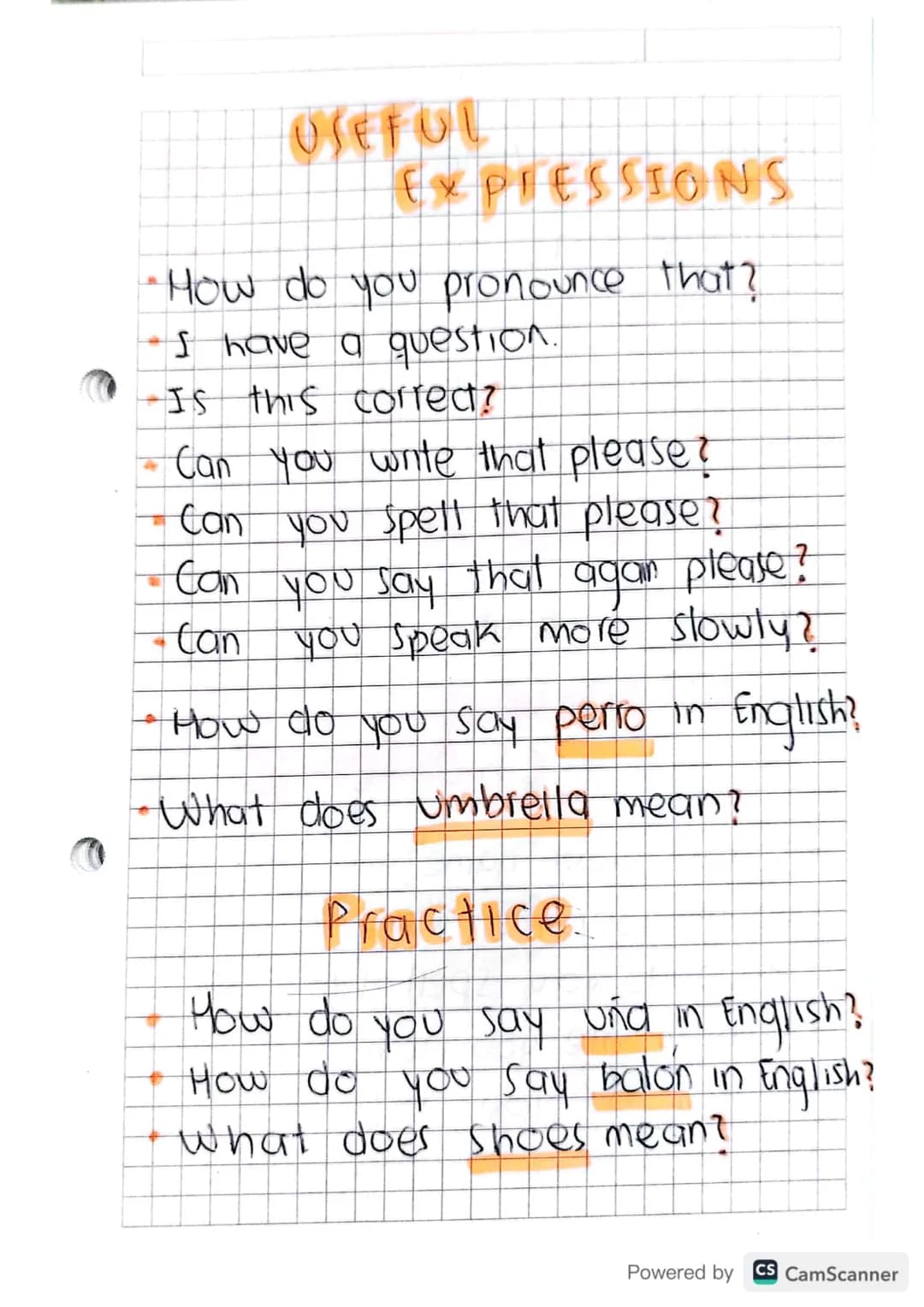 # USEFUL
EXPRESSIONS
* How do you pronounce that?
* I have a question.
* Is this corred?
* Can you write that please?
* Can you spell that p