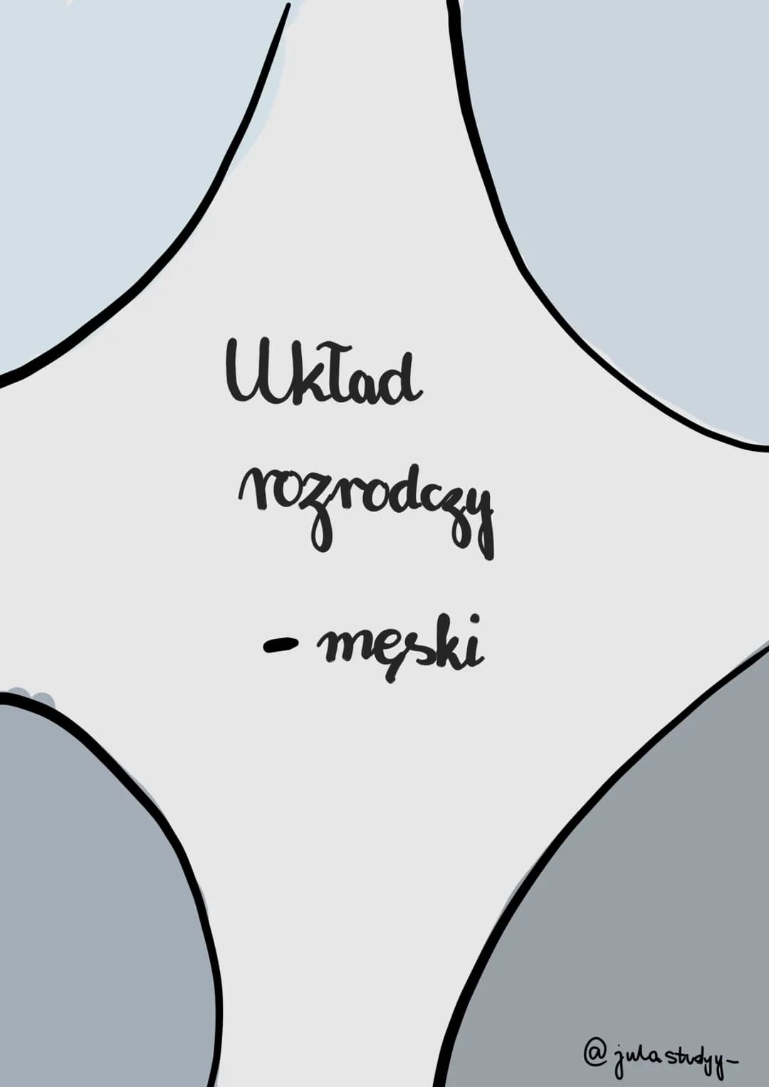 Uktad
rozrodczy
- damski

@julastudy- # funkcja

# cykl miesinghowy

to powtarzające się regularnie zmiany zachodzące w organizmie kobiety
w