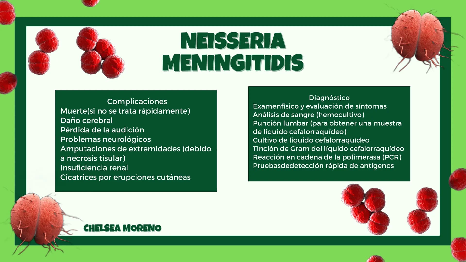 # MYCOBACTERIUM
# TUBERCULOSIS

Complicaciones:
- Colapso pulmonar (neumotórax)
- Hemoptisis (sangrado en los pulmones)
- Insuficiencia resp