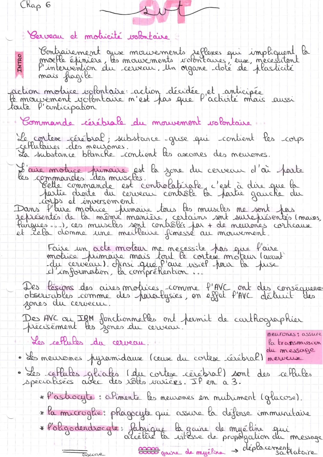# Chap 6

Berveau et motricité volontaire

Contrairement cyuse movements reflexes
moefle epiniere, les mouvements volontaires, euse, necessi