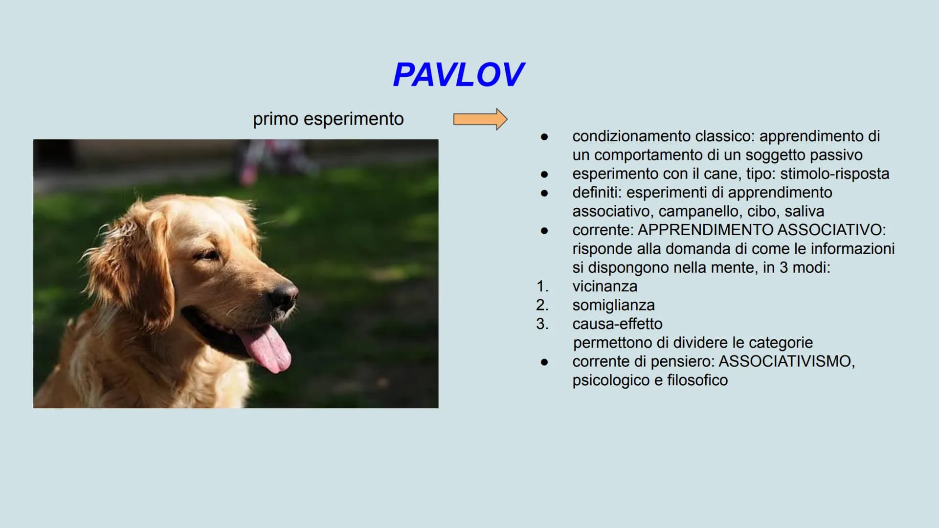 Skinner

comportamentismo

mente

apprendimento

Pavlov

metamemoria

condizionamento

stimolo

risposta

PSICOLOGIA

Freud

logos

personal