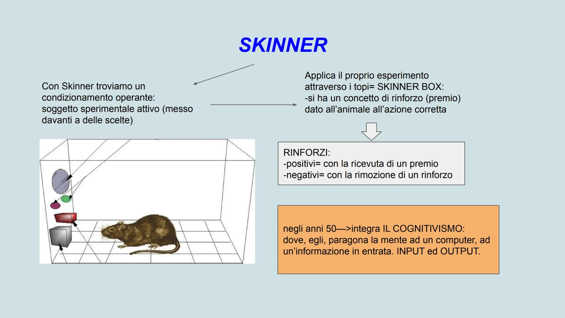 Skinner

comportamentismo

mente

apprendimento

Pavlov

metamemoria

condizionamento

stimolo

risposta

PSICOLOGIA

Freud

logos

personal