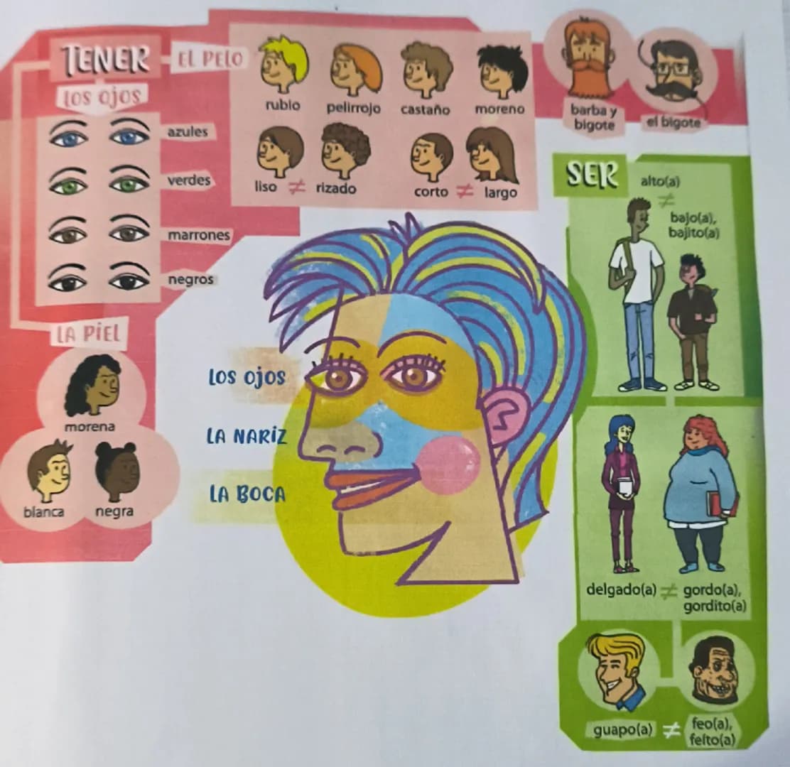 # TENER EL PELO

Los ojos

rublo pelirrojo castaño moreno

barba y
bigote
el bigote

azules

verdes

SER
liso rizado corto largo

alto(a)
≠

