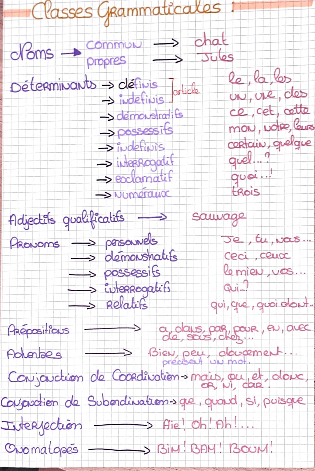 # Classes Grammaticales !

Noms → COMMUN → chat
   propres → Jules

Déterminants → définis
→ indefinis
→ démonstratifs
→ possessifs
→ indefi