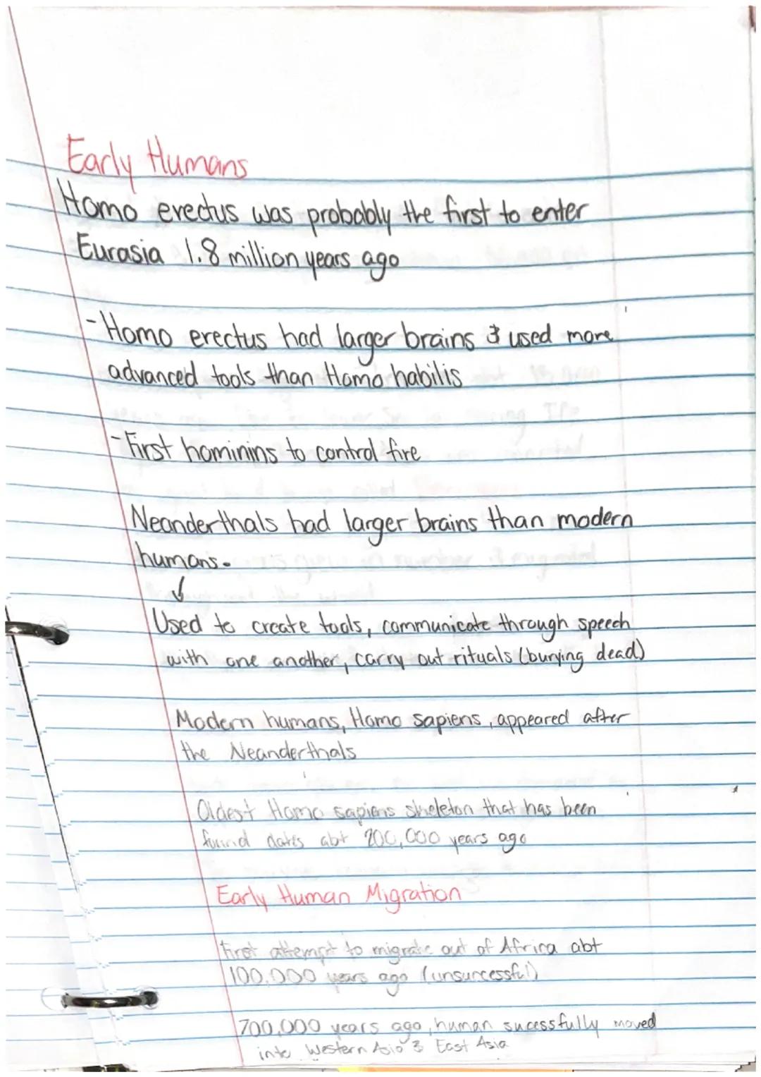 Ancient Civilization & 1st Humans

Human evolution began with hominids

They Takeaways

• Prehistory is the story of human history
before th