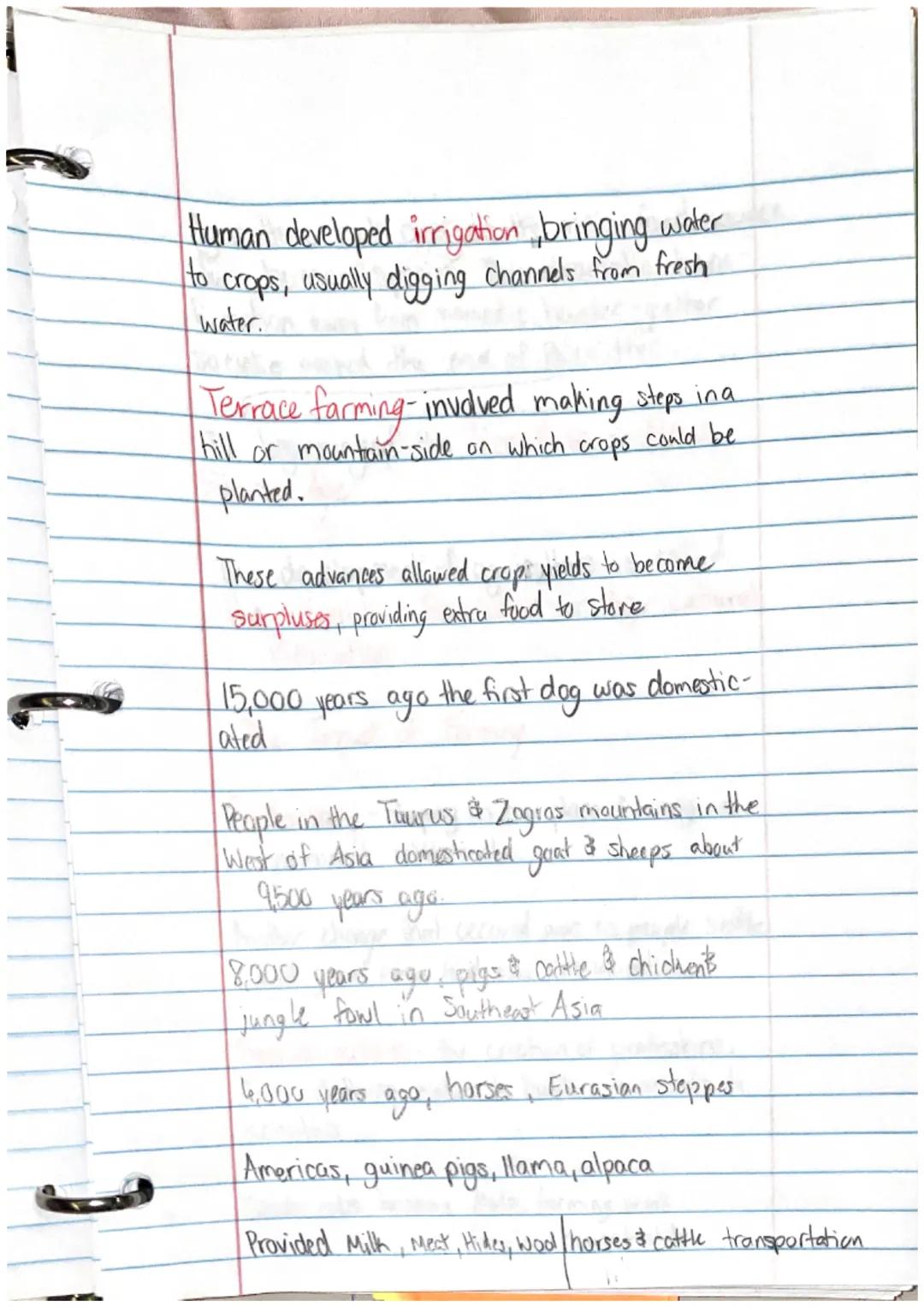 Ancient Civilization & 1st Humans

Human evolution began with hominids

They Takeaways

• Prehistory is the story of human history
before th