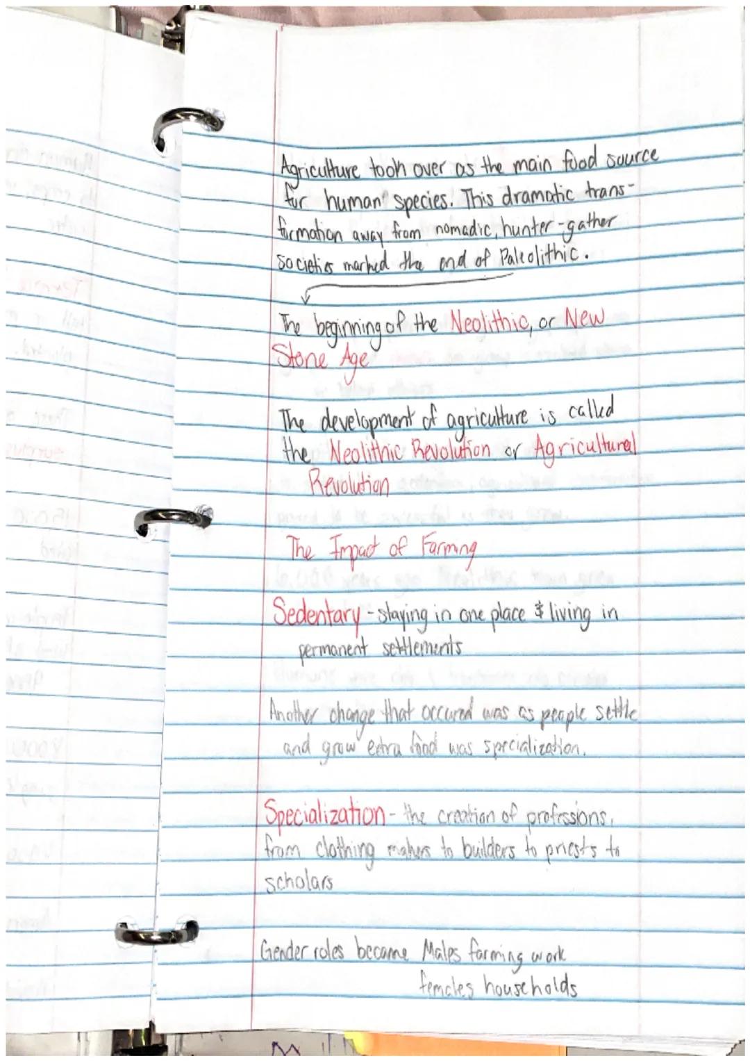 Ancient Civilization & 1st Humans

Human evolution began with hominids

They Takeaways

• Prehistory is the story of human history
before th
