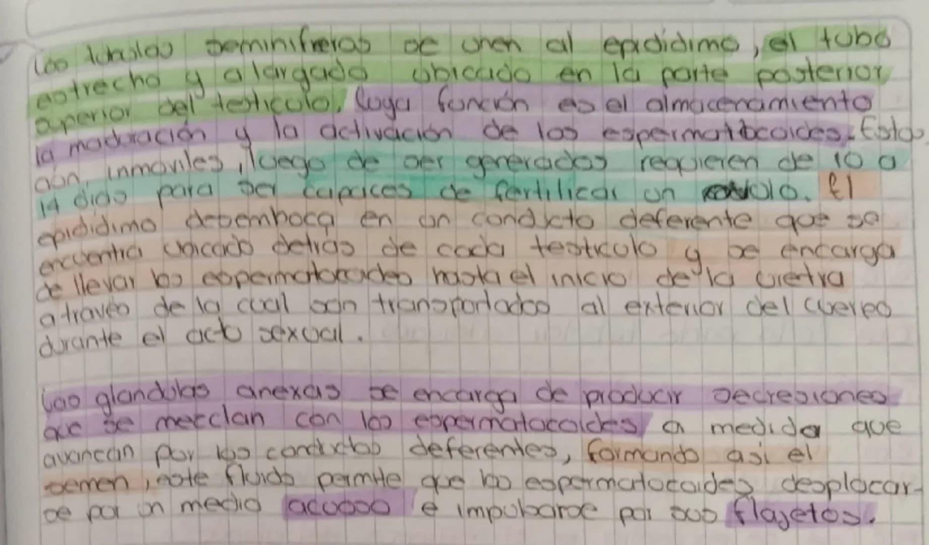 # Reproducción de seres humanos

Como ocurre en coalquier otro grupo de seres vivos la
reproducción del ser humano es on proceso que asegura