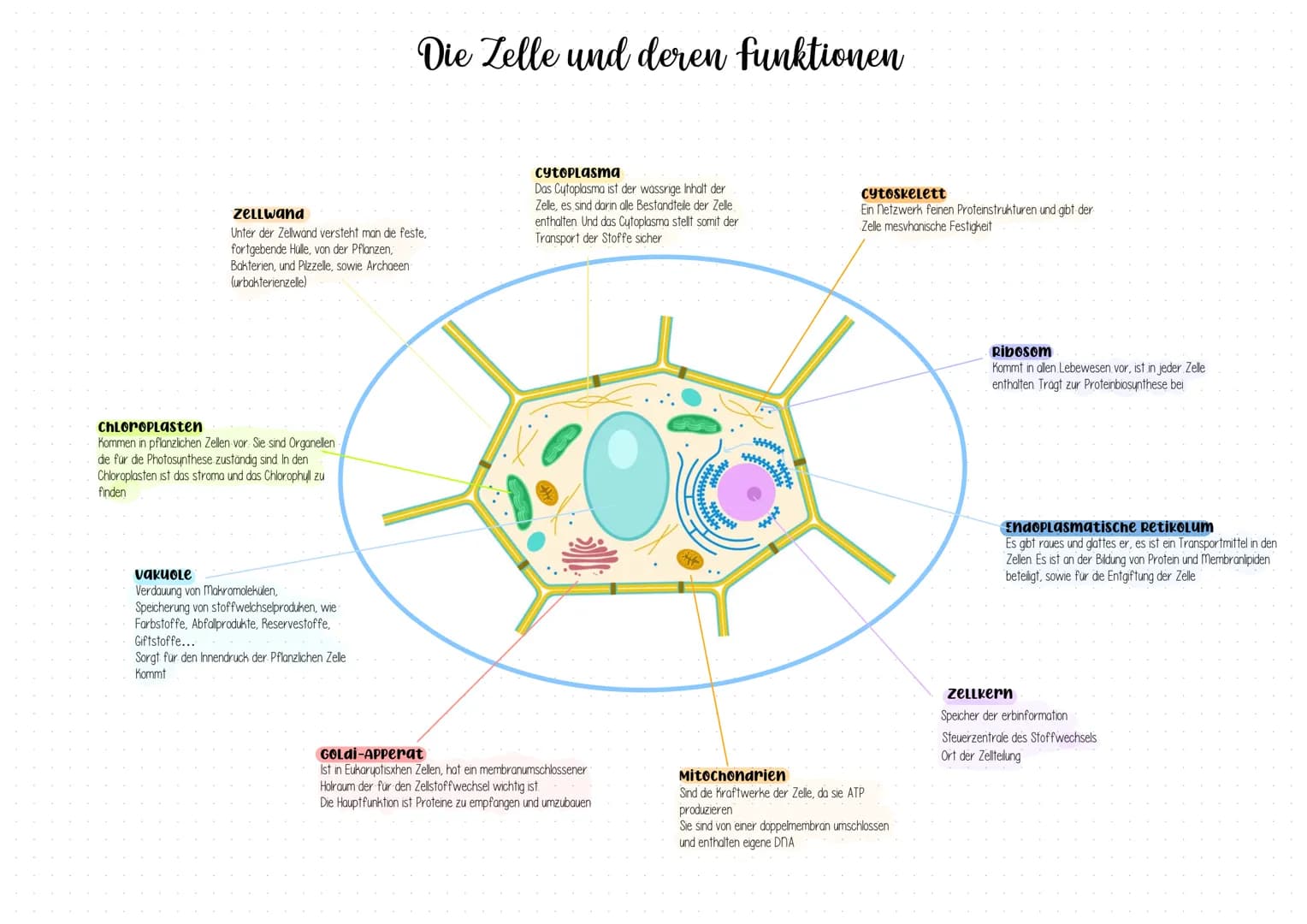 # Die Zelle und deren funktionen

Zellwand
Unter der Zellwand versteht man die feste,
fortgebende Hülle, von der Pflanzen,
Bakterien, und Pi