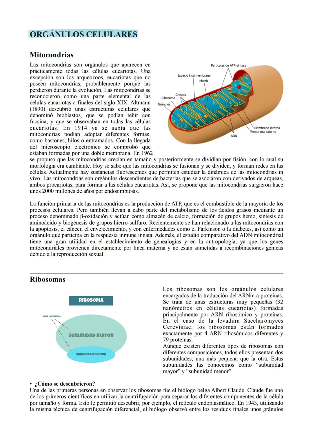 # LA CÉLULA

TIPOS DE CÉLULA

La célula procariota:

Las células procariotas estructuralmente son las más simples y pequeñas. Como toda célu