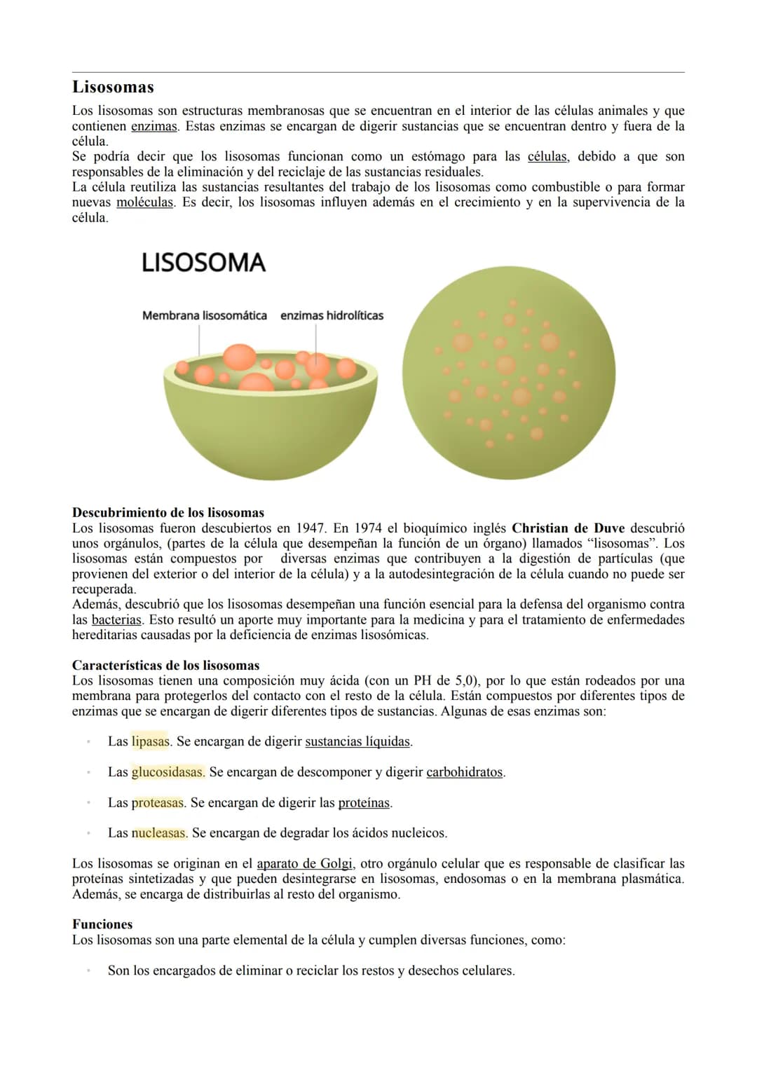 # LA CÉLULA

TIPOS DE CÉLULA

La célula procariota:

Las células procariotas estructuralmente son las más simples y pequeñas. Como toda célu