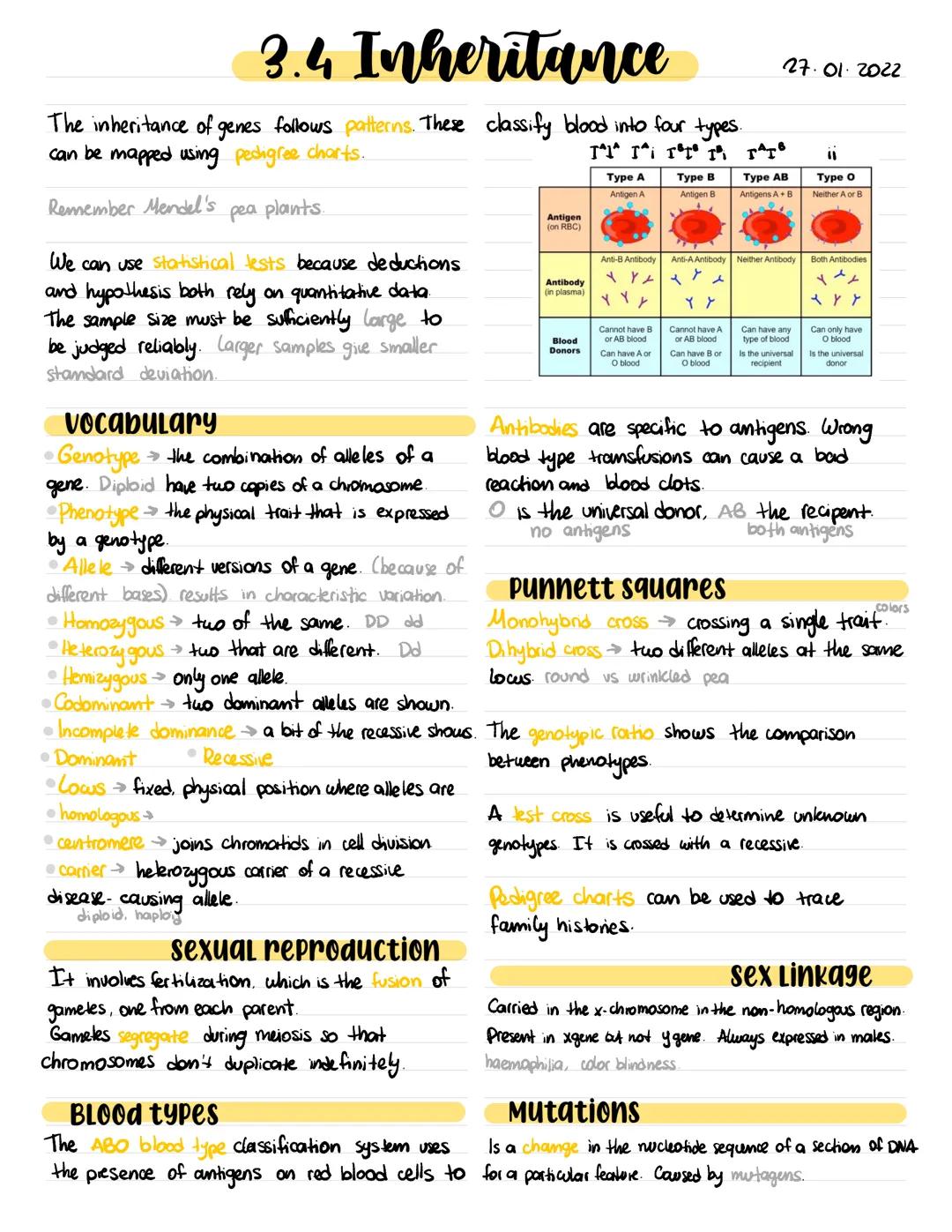 # 3.4 Inheritance

The inheritance of genes follows patterns. These classify blood into four types.
can be mapped using pedigree charts.

Re