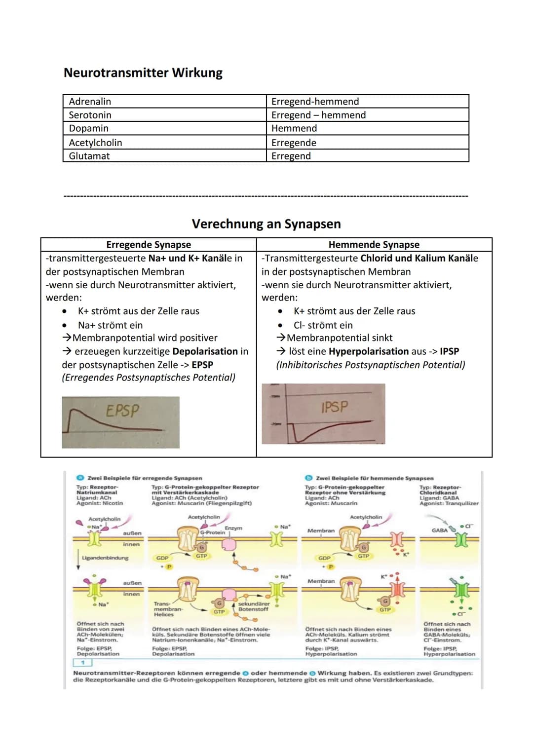 KKanal

Biologie - Neurobiologie

Membranpotenzial:
-es zeigt das Ruhepotential an der Axonmembran des
Neurons mit den Ladungsunterschiede
-