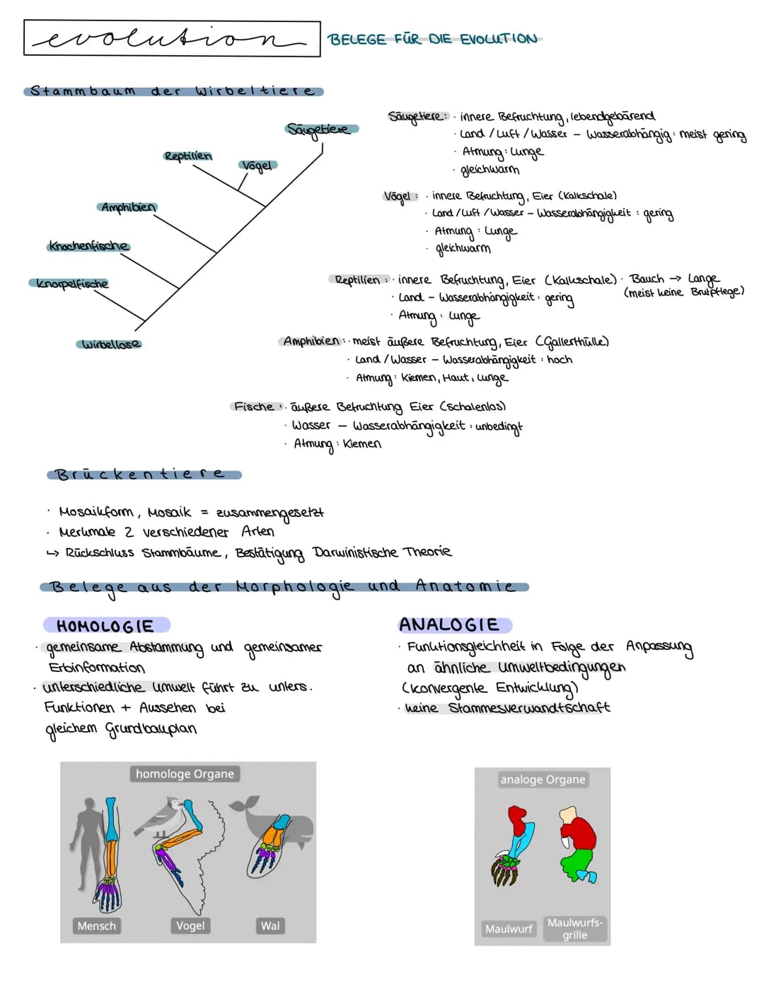 # Semester 4

evolution # evolution THEORIEN

LAMARCK 1809 Artenwandel durch Vererbung erworbener Eigenschaften

innerer Trieb zur Vervollko