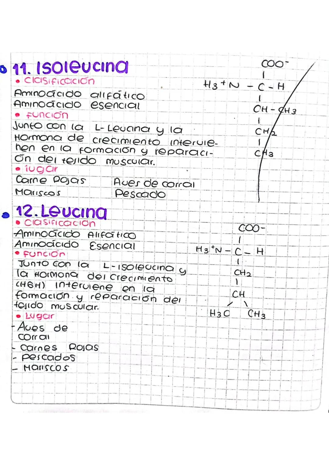 # 11. Isoleucina
*   Clasificación
Aminoácido alifático
Aminoácido esencial
*   función
Junto con la L-Levana y la
COO-
1
H3+N-C-H
1
CH-CH3
