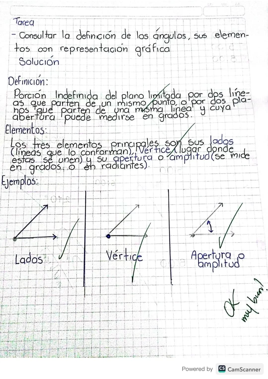 Tarea
- Consultar la definición de los ángulos, sus elemen-
tos con representación gráfica
Solución

Definición:
Porción Indefinida del plan