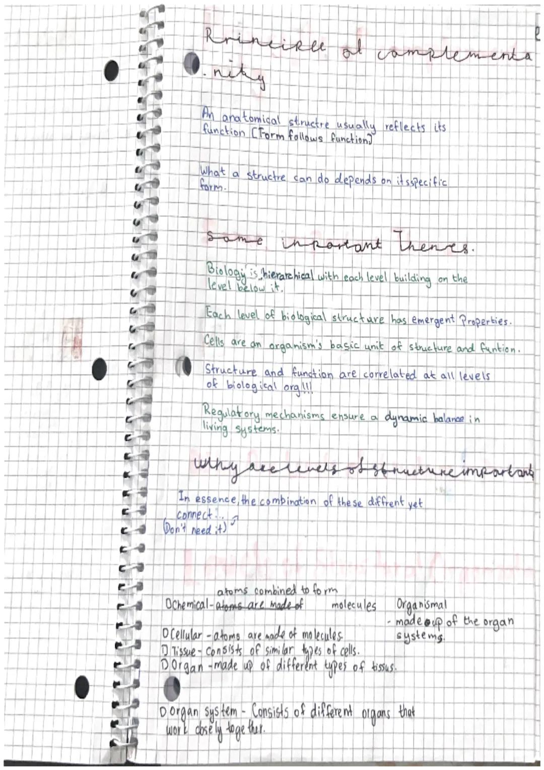 # Directional Terms and Joint Moveme
-nt.

## Anatomical Position

sughal
Mane

Tromsverse
Plane

Medial
coserto
Lateral
Carther
Body Planes