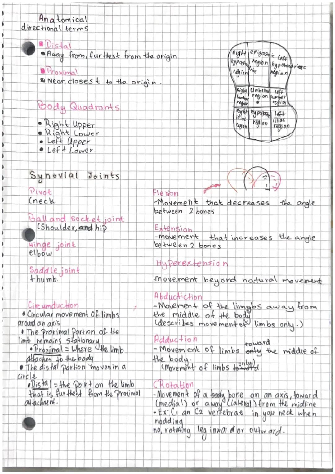 # Directional Terms and Joint Moveme
-nt.

## Anatomical Position

sughal
Mane

Tromsverse
Plane

Medial
coserto
Lateral
Carther
Body Planes