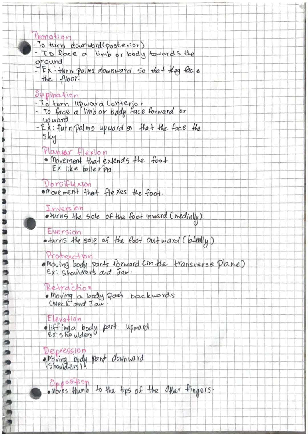 # Directional Terms and Joint Moveme
-nt.

## Anatomical Position

sughal
Mane

Tromsverse
Plane

Medial
coserto
Lateral
Carther
Body Planes