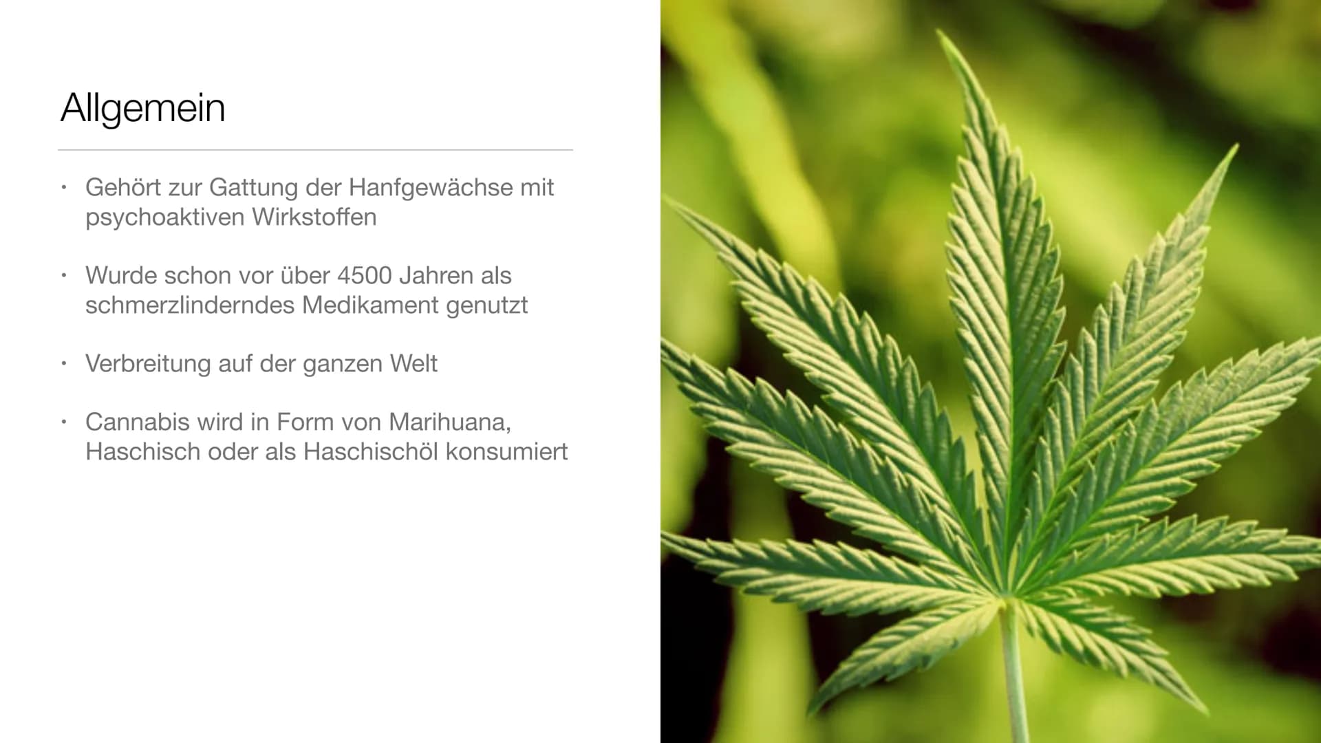 # Drogen und ihre Wirkungen Gliederung

• Was sind Drogen überhaupt?

Legale und illegale Drogen

Drogensucht

3 Drogenarten

Die schlimmste