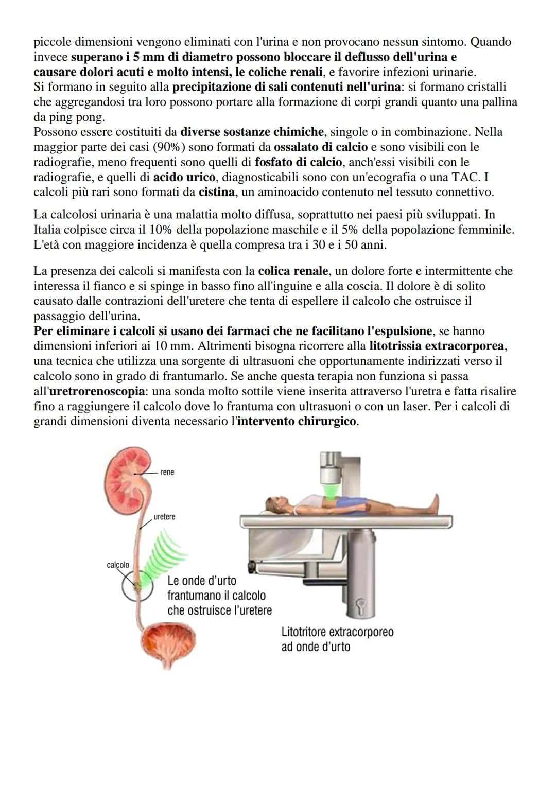 # Apparato urinario o escretore

L'apparato urinario (o escretore) è l'insieme degli organi e delle strutture il cui compito
è quello di fil