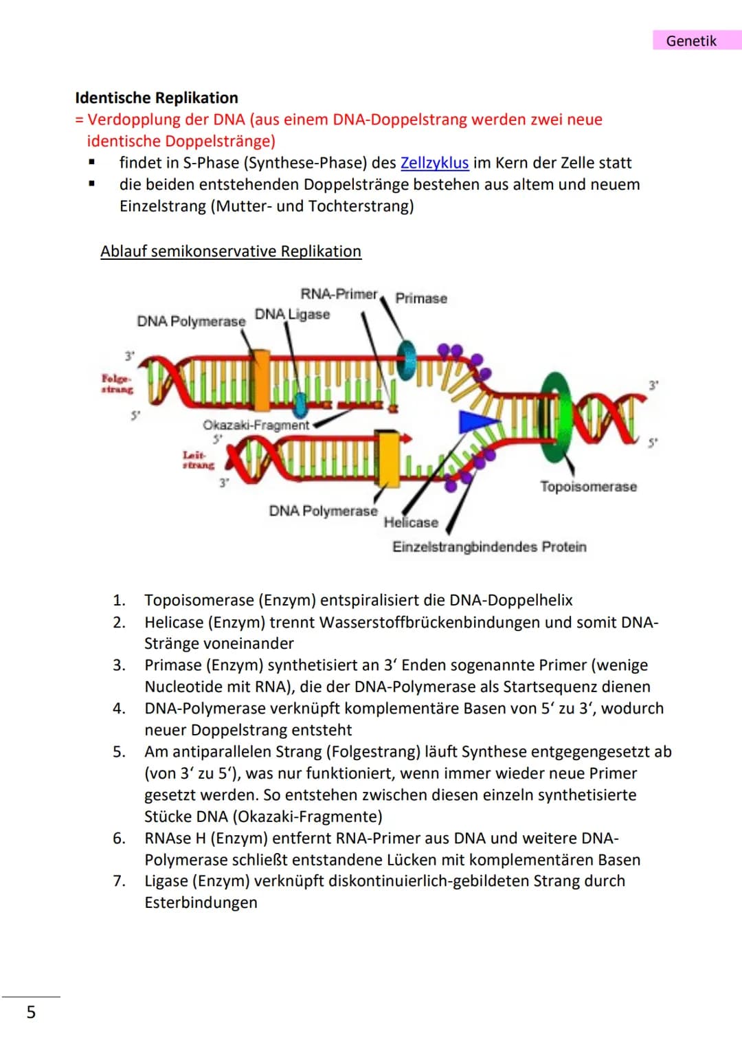# Genetik

wichtige Begriffe

Population Gesamtheit der an einem Ort vorhandenen Individuen einer Art
Variabilität Vielfältigkeit/Verschiede