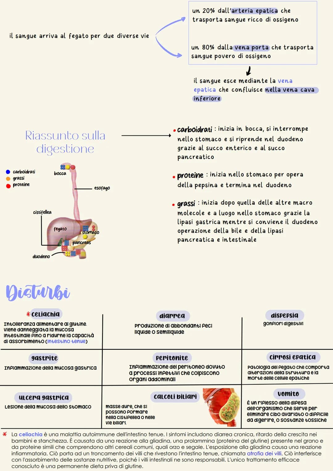 # Apparato digerente

È il complesso degli organi adibiti alla masticazione del cibo, alla
degradazione delle grosse molecole contenute negl