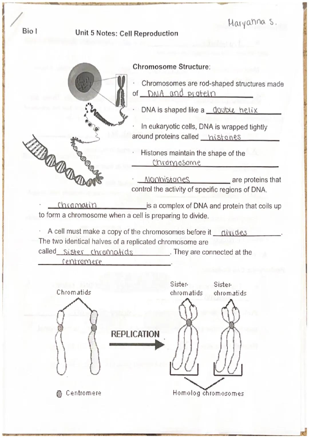 Bio I
Unit 5 Notes: Cell Reproduction
Maryanna s.

Chromosome Structure:
*   Chromosomes are rod-shaped structures made
of DNA and protein
*