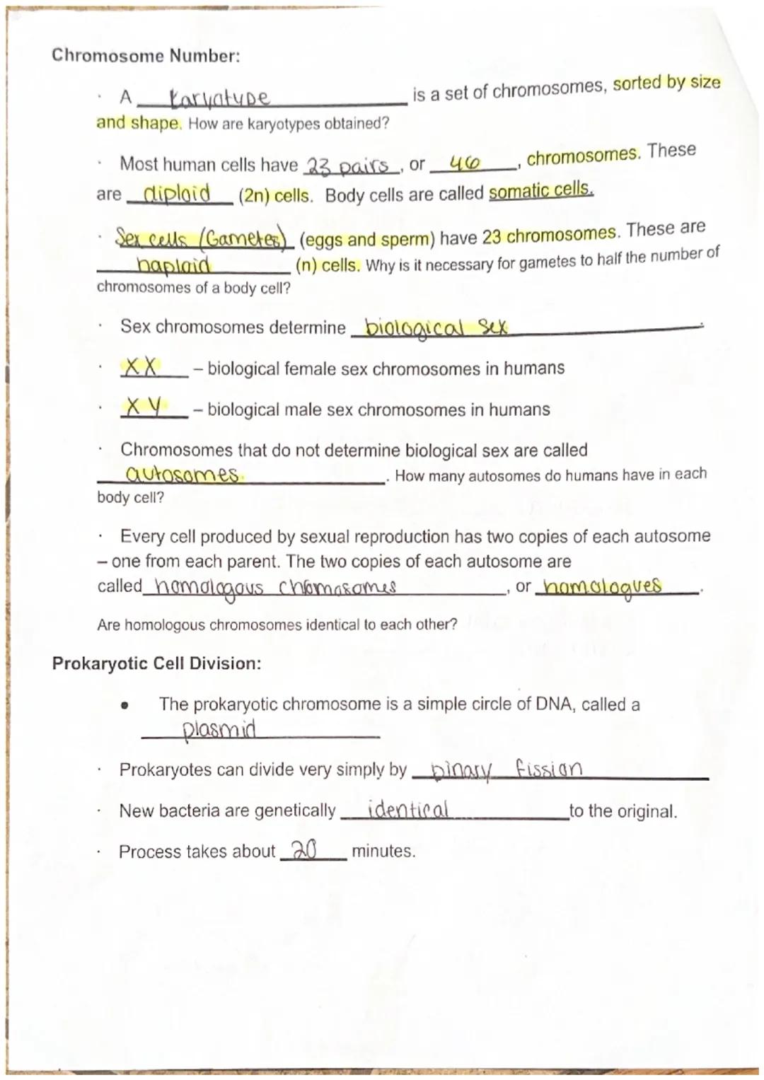 Bio I
Unit 5 Notes: Cell Reproduction
Maryanna s.

Chromosome Structure:
*   Chromosomes are rod-shaped structures made
of DNA and protein
*