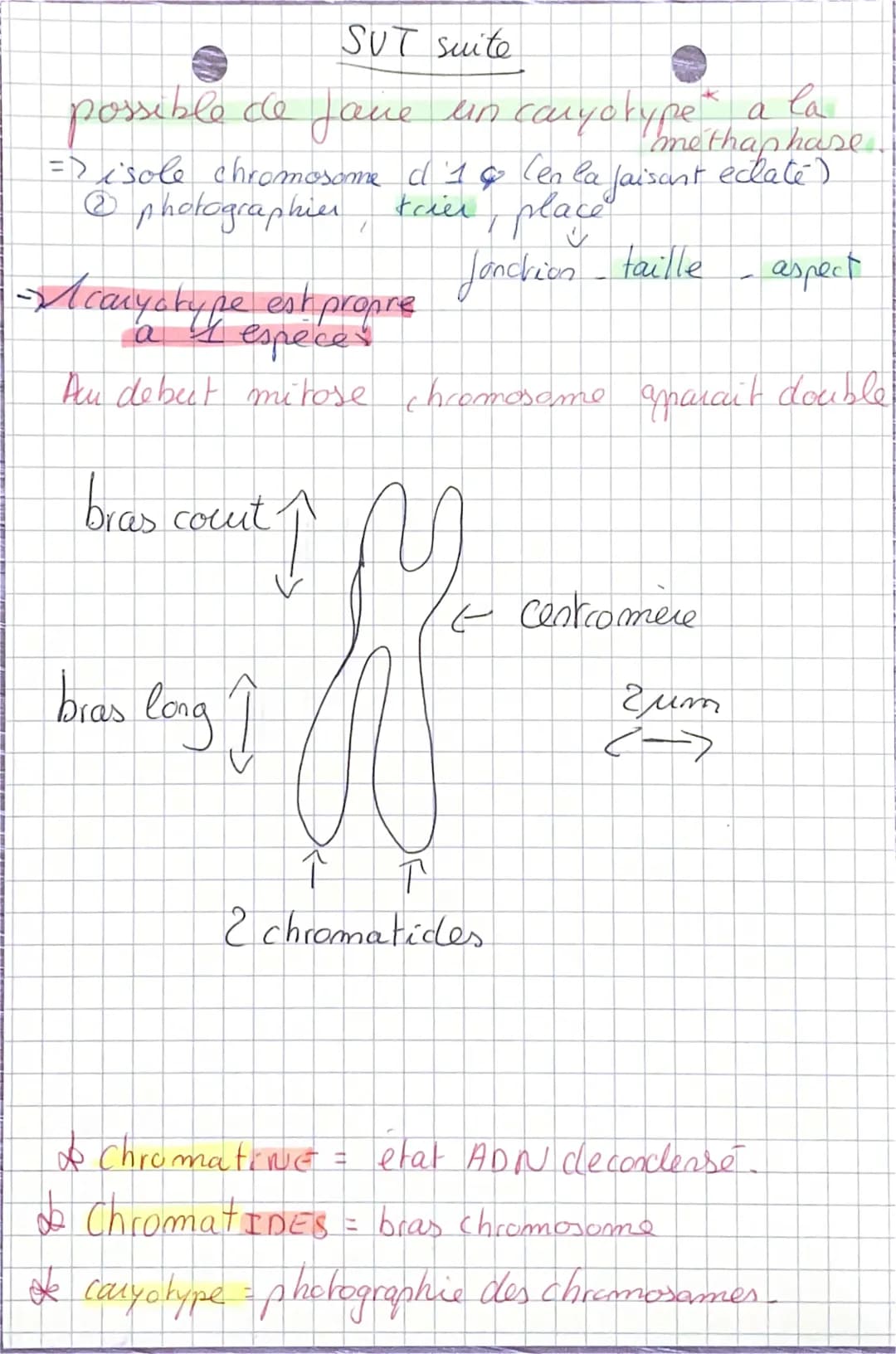 SVT cellule.

cellule = plus petite unite structural et fonctionelle

patrimoine generique est sous forme de
molecule d'ADN

A---Tuminine --