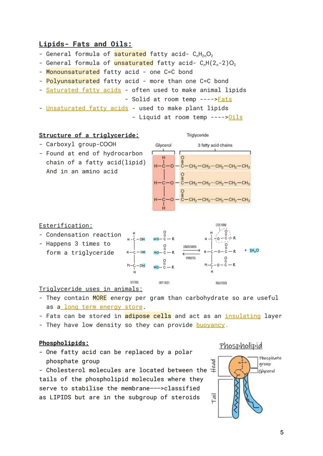 WJEC-A Level Biology-Unit 1.11 Basic Biochemistry and
Cell Organisation

Organic Molecules:

The importance of carbon:
- Can form 4 bonds
- 