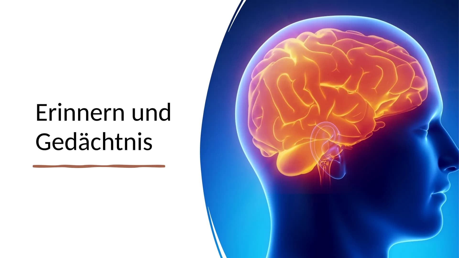 # Erinnern und

# Gedächtnis # Inhaltsverzeichnis

1. Aufbau des menschlichen Gehirns

*   1.2 Gehirnbereiche und ihre Funktionen

2. Grundl