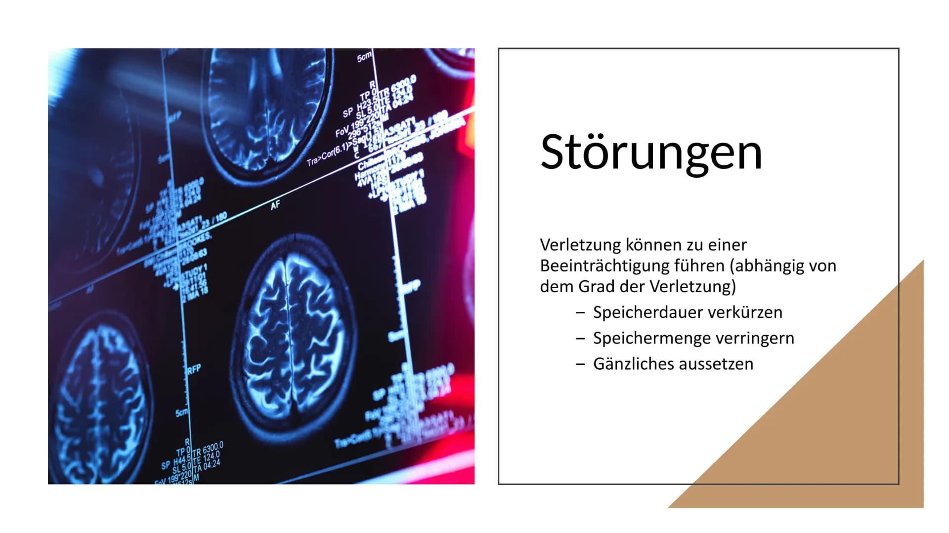 # Erinnern und

# Gedächtnis # Inhaltsverzeichnis

1. Aufbau des menschlichen Gehirns

*   1.2 Gehirnbereiche und ihre Funktionen

2. Grundl