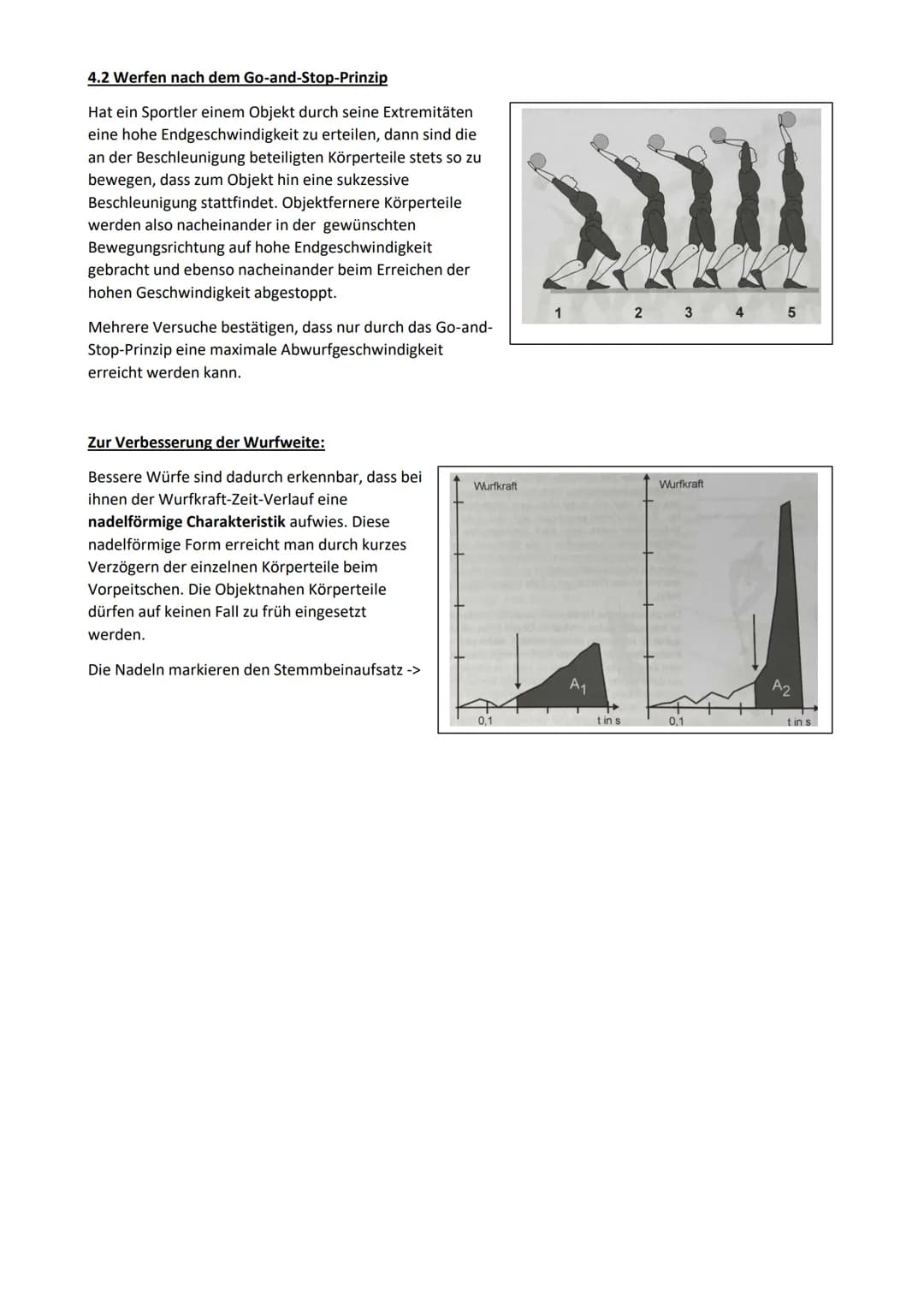 # Werfen

Fast alle Würfe im Sport können in 3 Grundformen unterteilt werden. Diese sind Schlagwürfe, Drehwürfe
und Druckwürfe. Dabei gibt e
