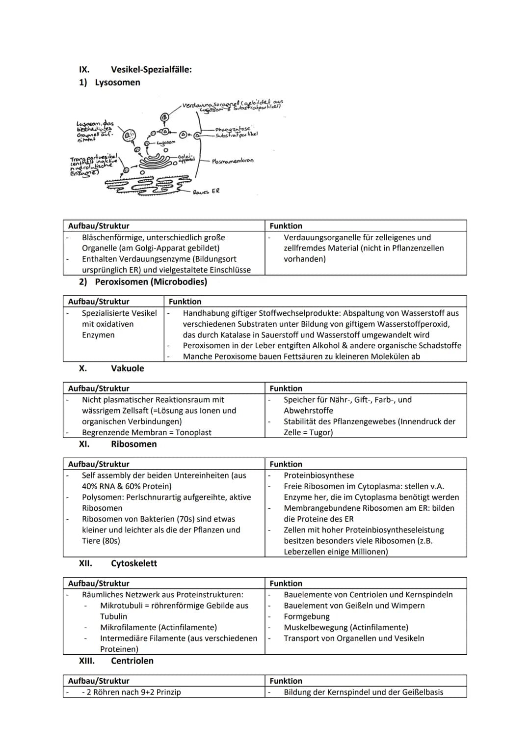 Genregulation...............................................................................................................................