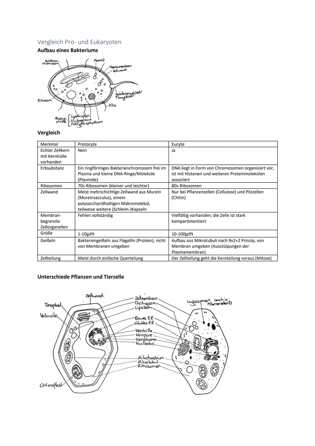 Genregulation...............................................................................................................................