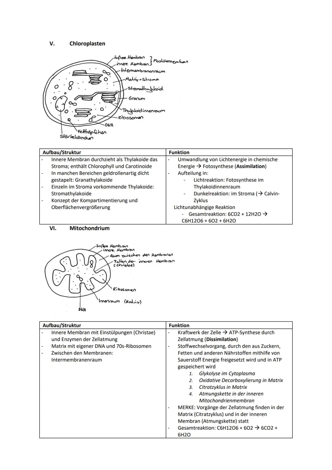 Genregulation...............................................................................................................................