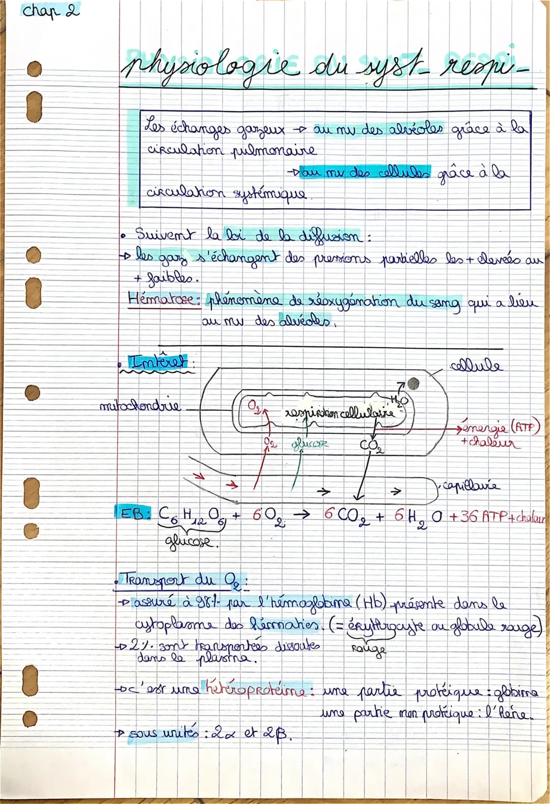 chap 2

i
physiologie du syst-respi-

Les échanges gazeux au my des alvéoles grâce à la
circulation pulmonaire

Dau me des cellules grâce à 
